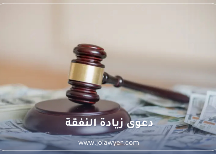 دعوى زيادة النفقة